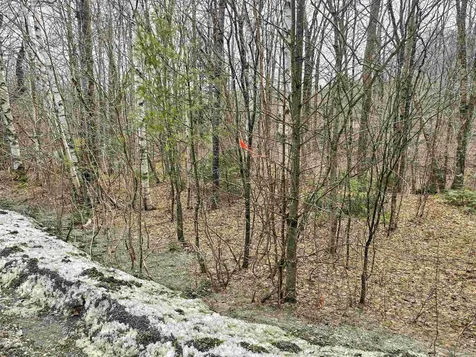 210 Sparrow Drive Stamford VT 05352