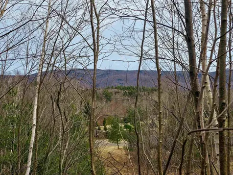 210 Sparrow Drive Stamford VT 05352