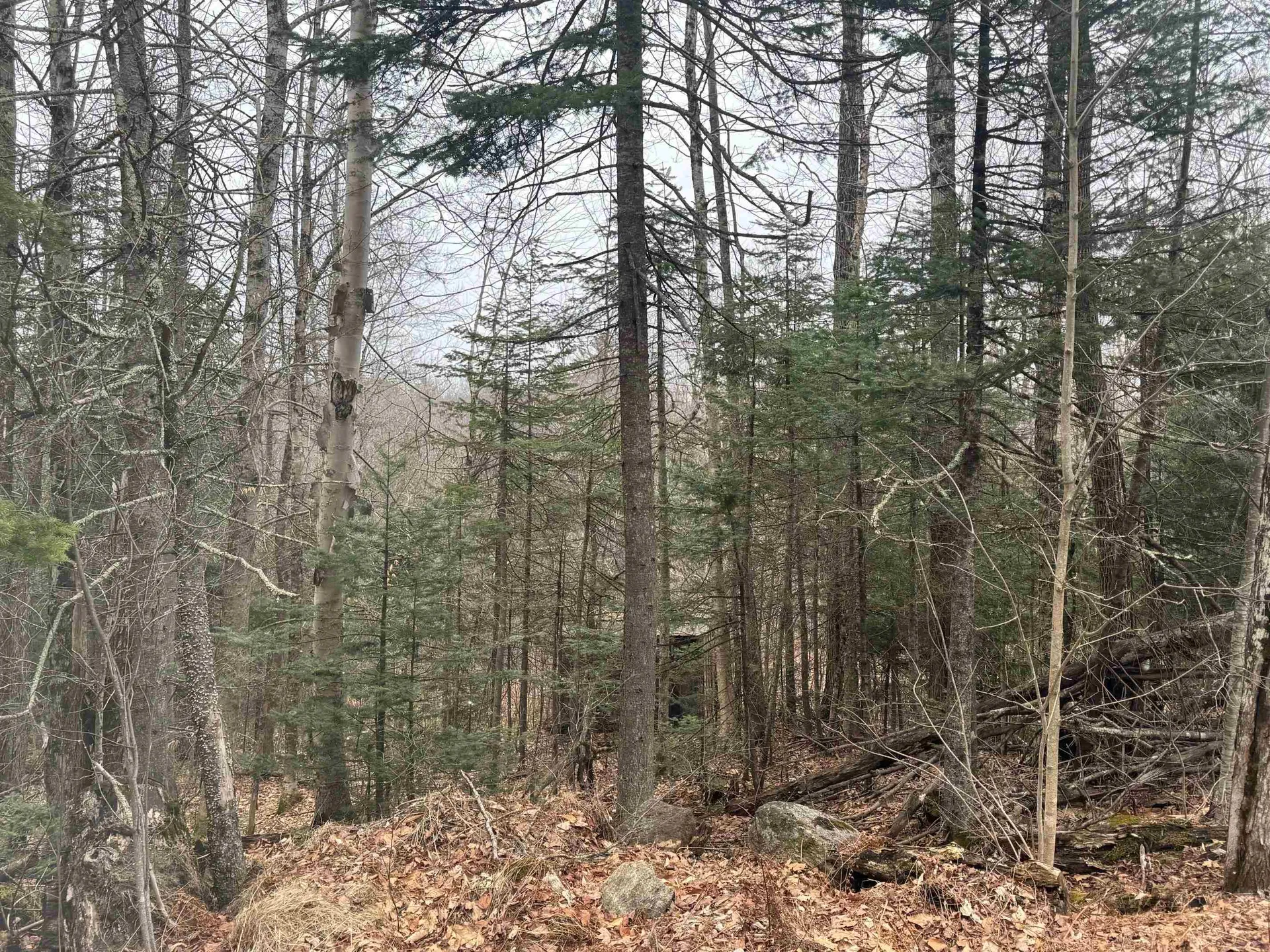 3225 George Hill Road Springfield NH 03284