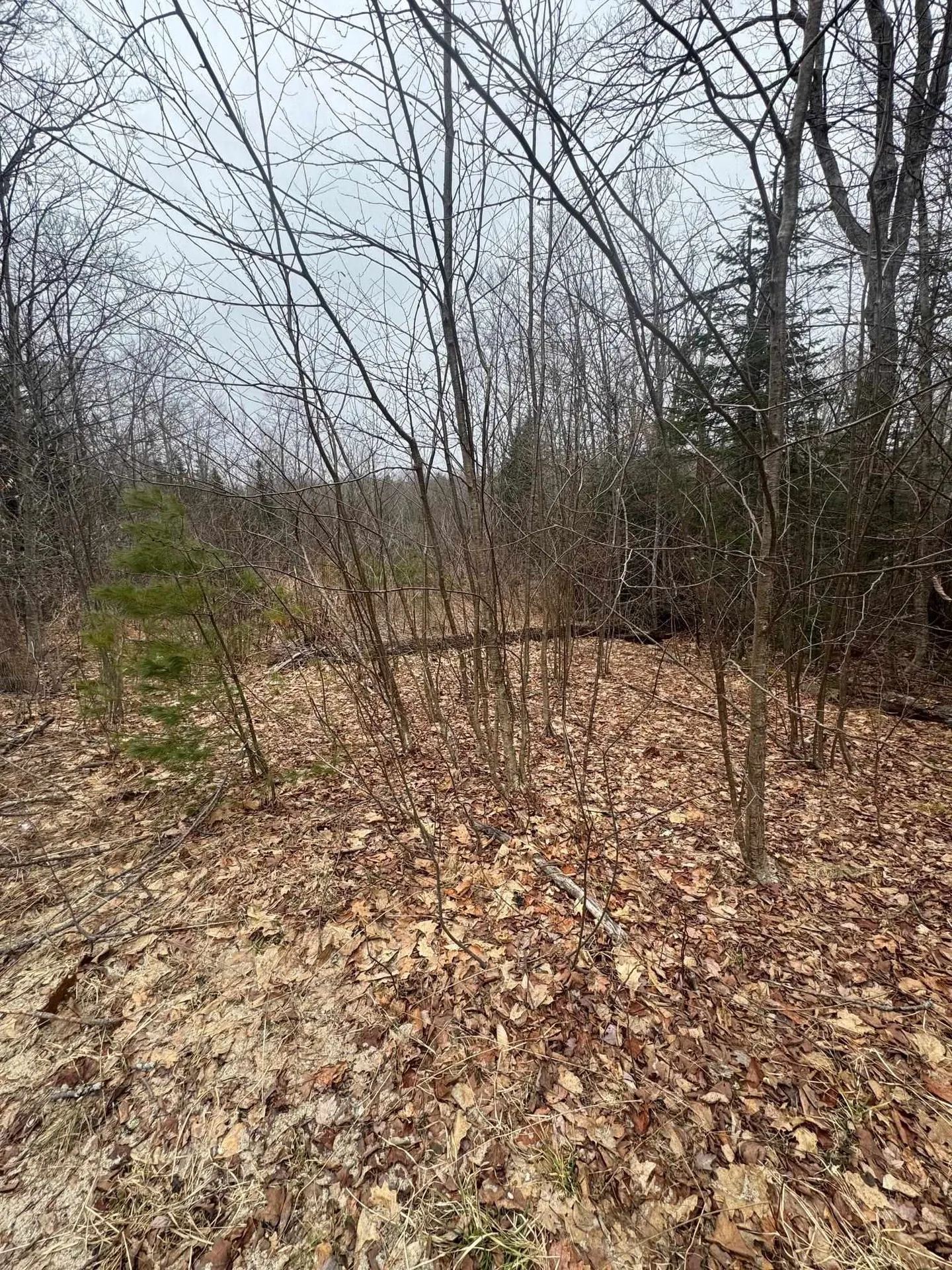 3225 George Hill Road Springfield NH 03284