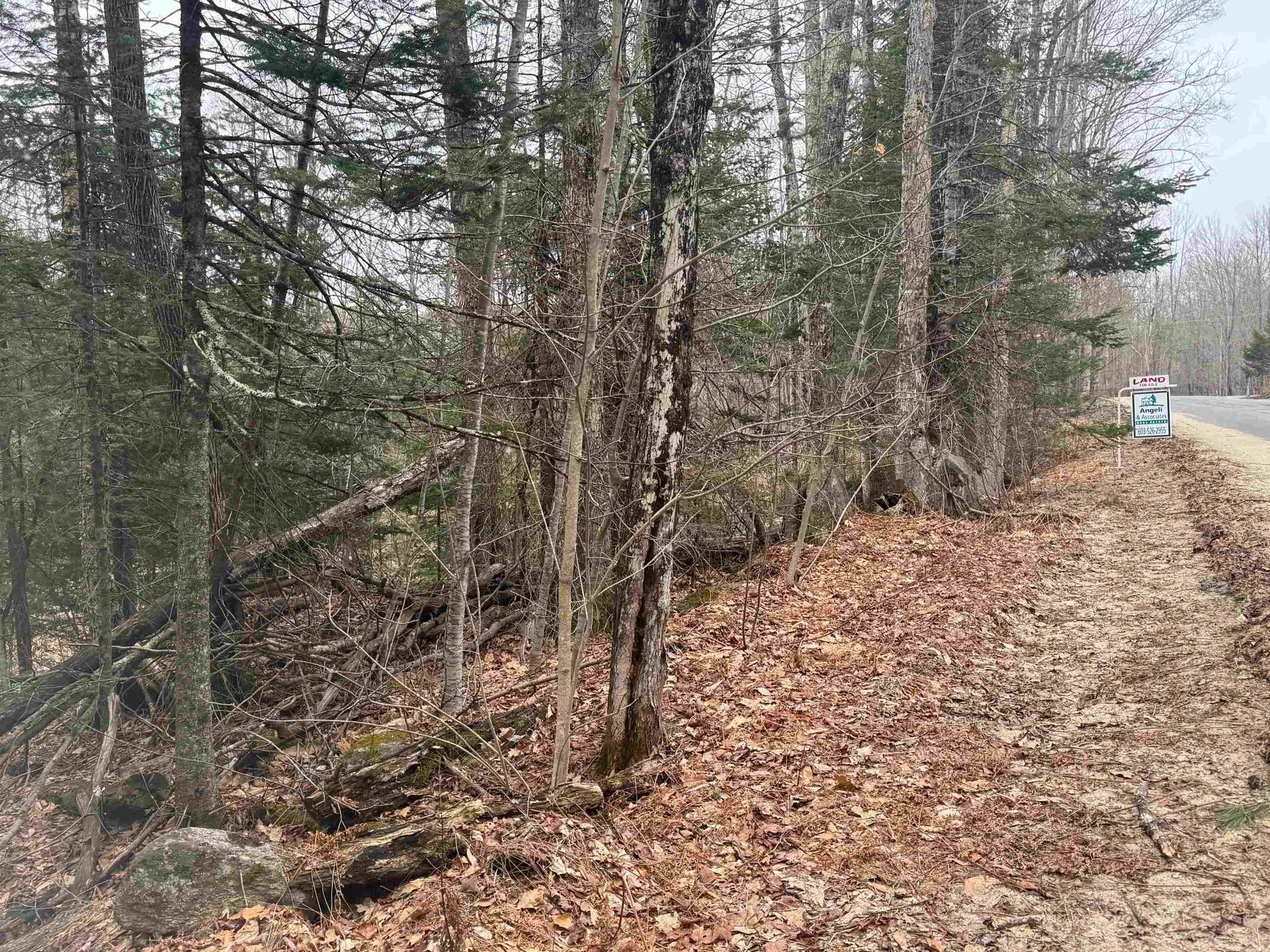 3225 George Hill Road Springfield NH 03284