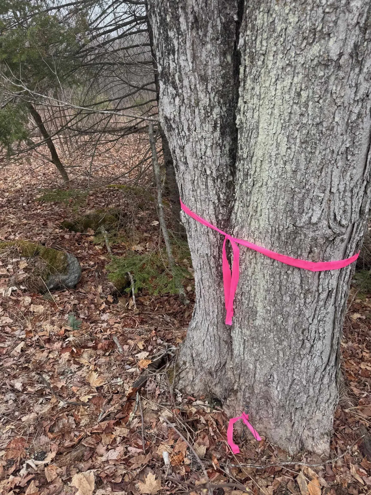 3225 George Hill Road Springfield NH 03284