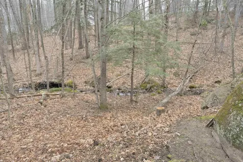 11 Harvey Brook Road Wolfeboro NH 03894