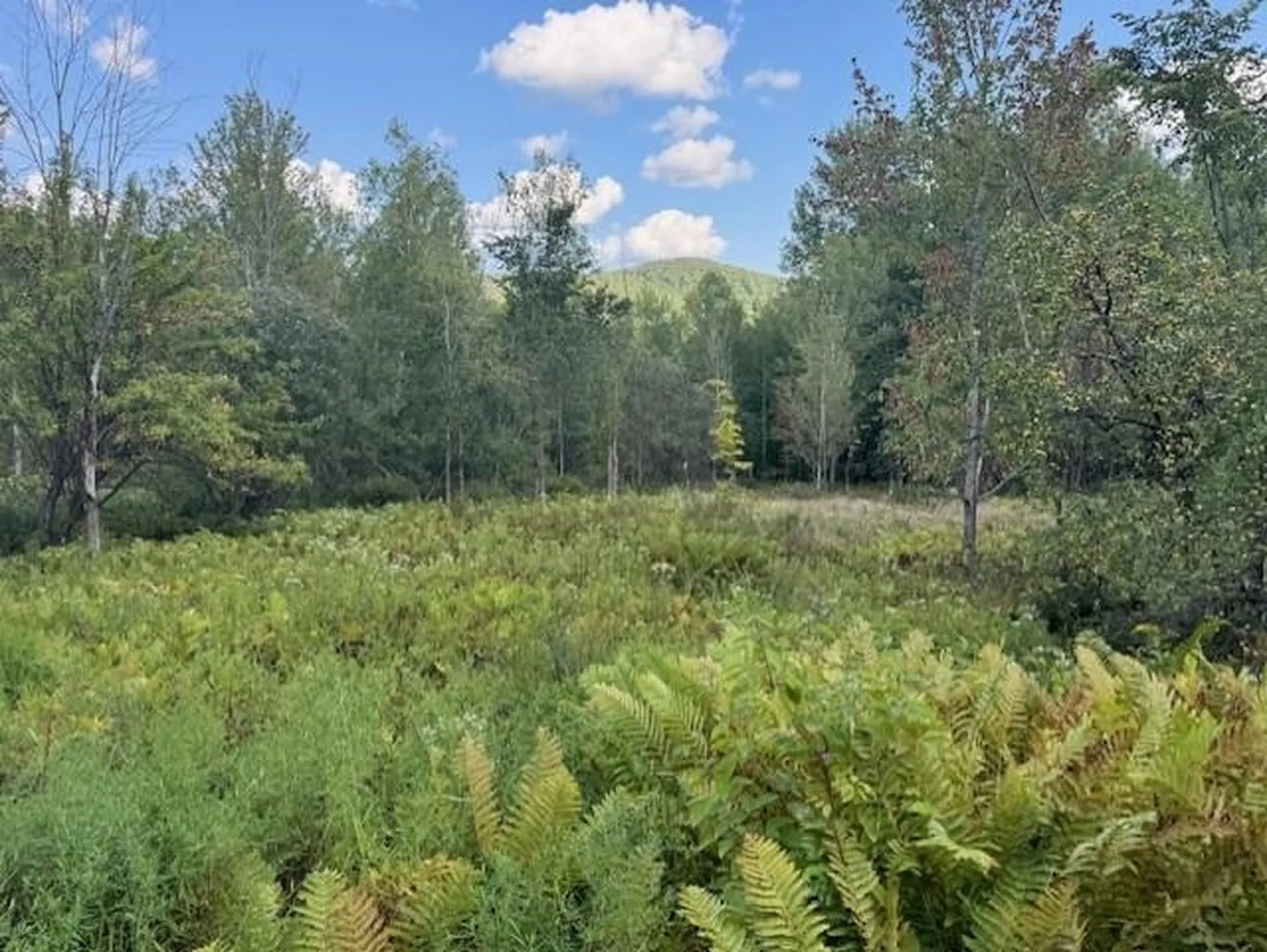 00 Westhill Road Montgomery VT 05470