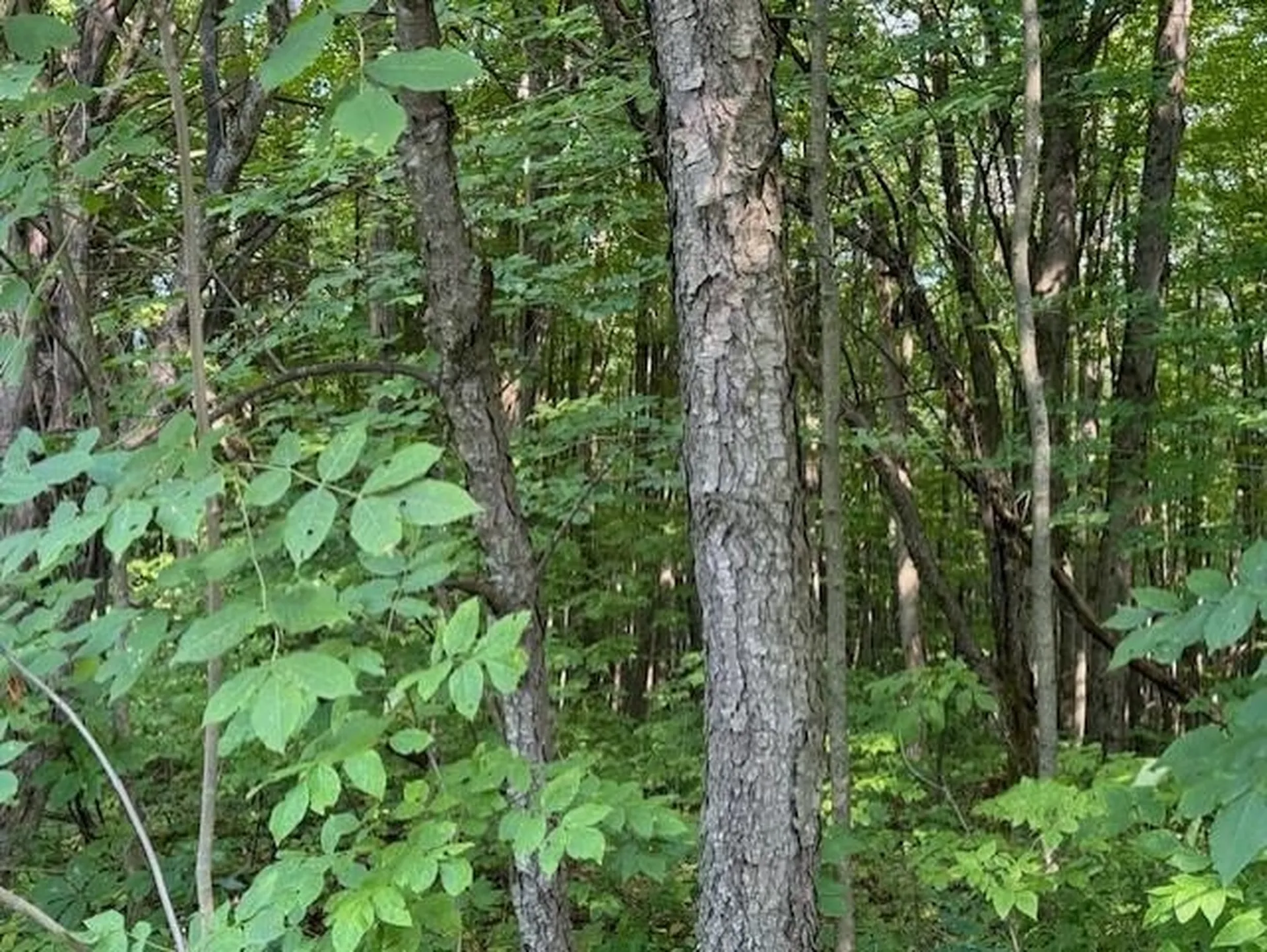 00 Westhill Road Montgomery VT 05470