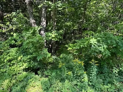 00 Westhill Road Montgomery VT 05470