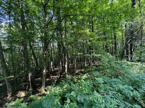 00 Westhill Road Montgomery VT 05470