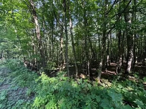 00 Westhill Road Montgomery VT 05470