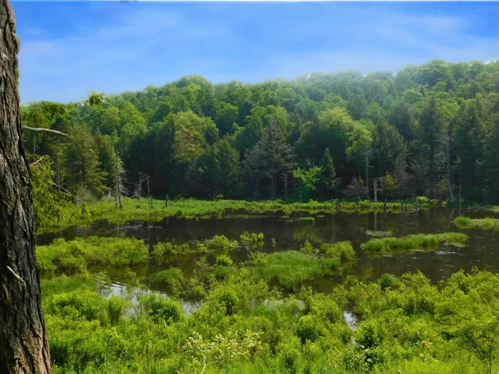 74 Wightman Hill Road Richford VT 05476