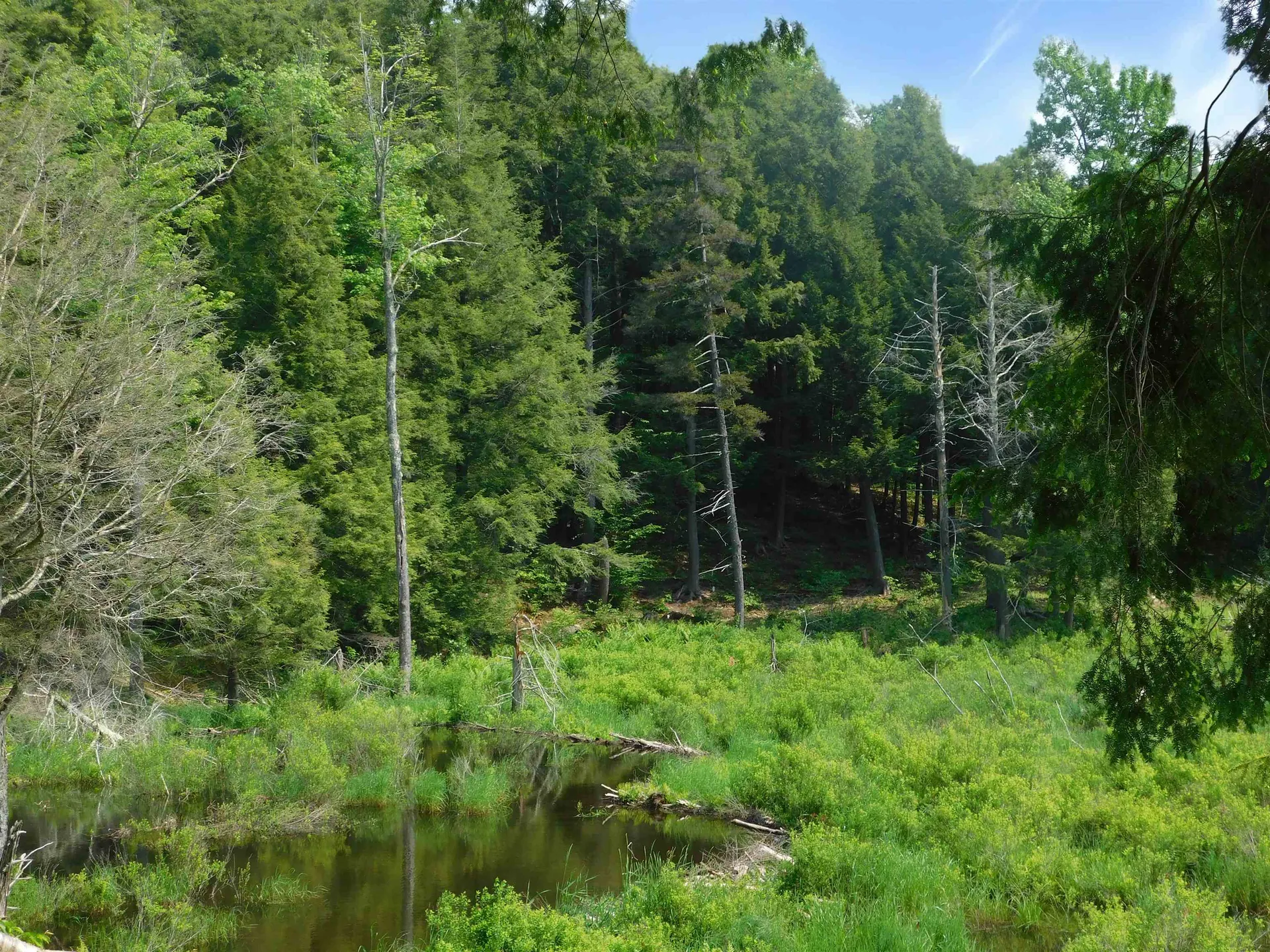 74 Wightman Hill Road Richford VT 05476