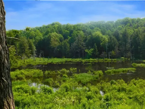 74 Wightman Hill Road Richford VT 05476