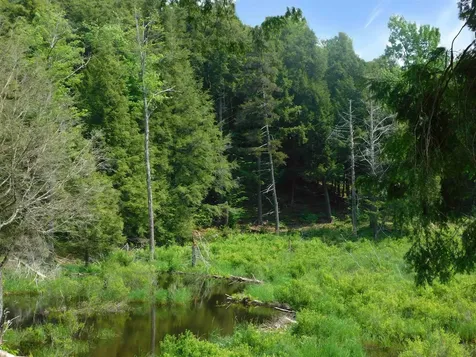 74 Wightman Hill Road Richford VT 05476