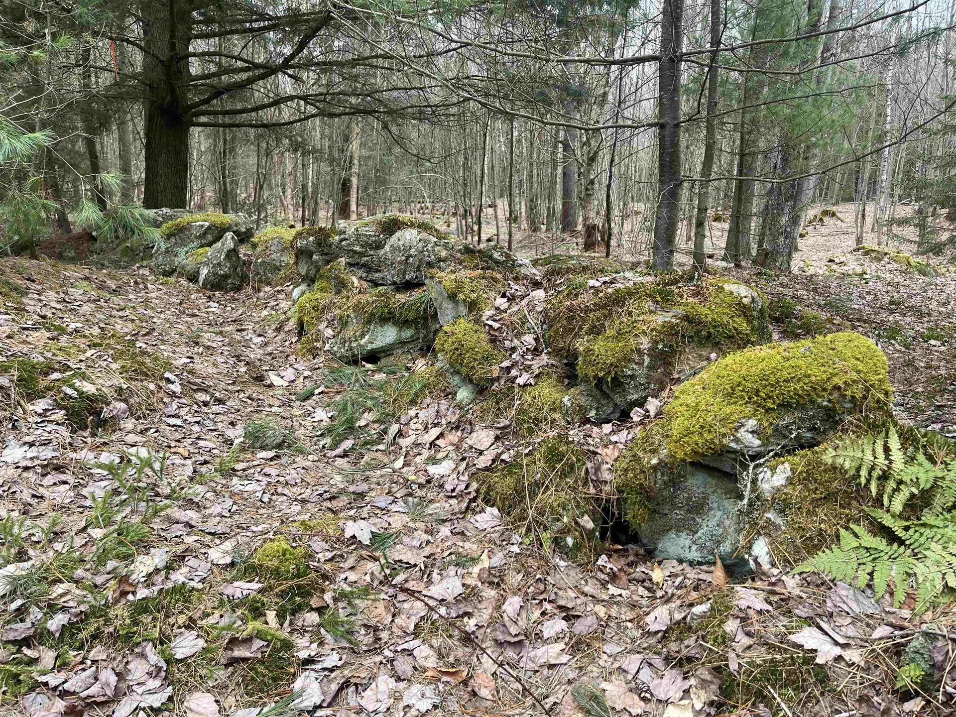 4 & 5 Haley Drive Hyde Park VT 05655