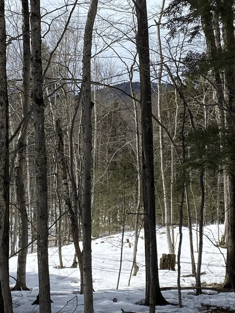 000 Innsbruck Road New Durham NH 03855