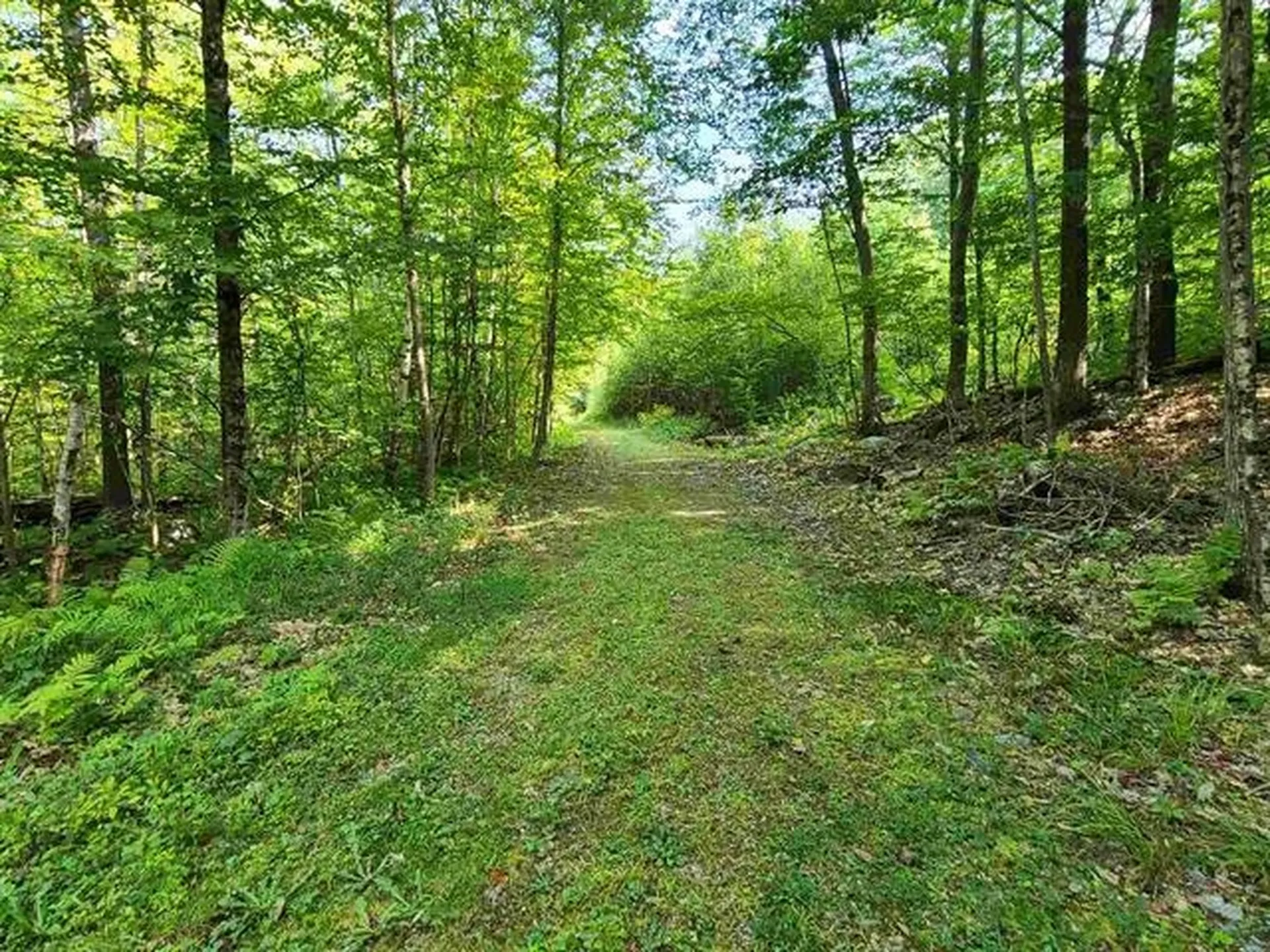 2 Pond Road Moultonborough NH 03254