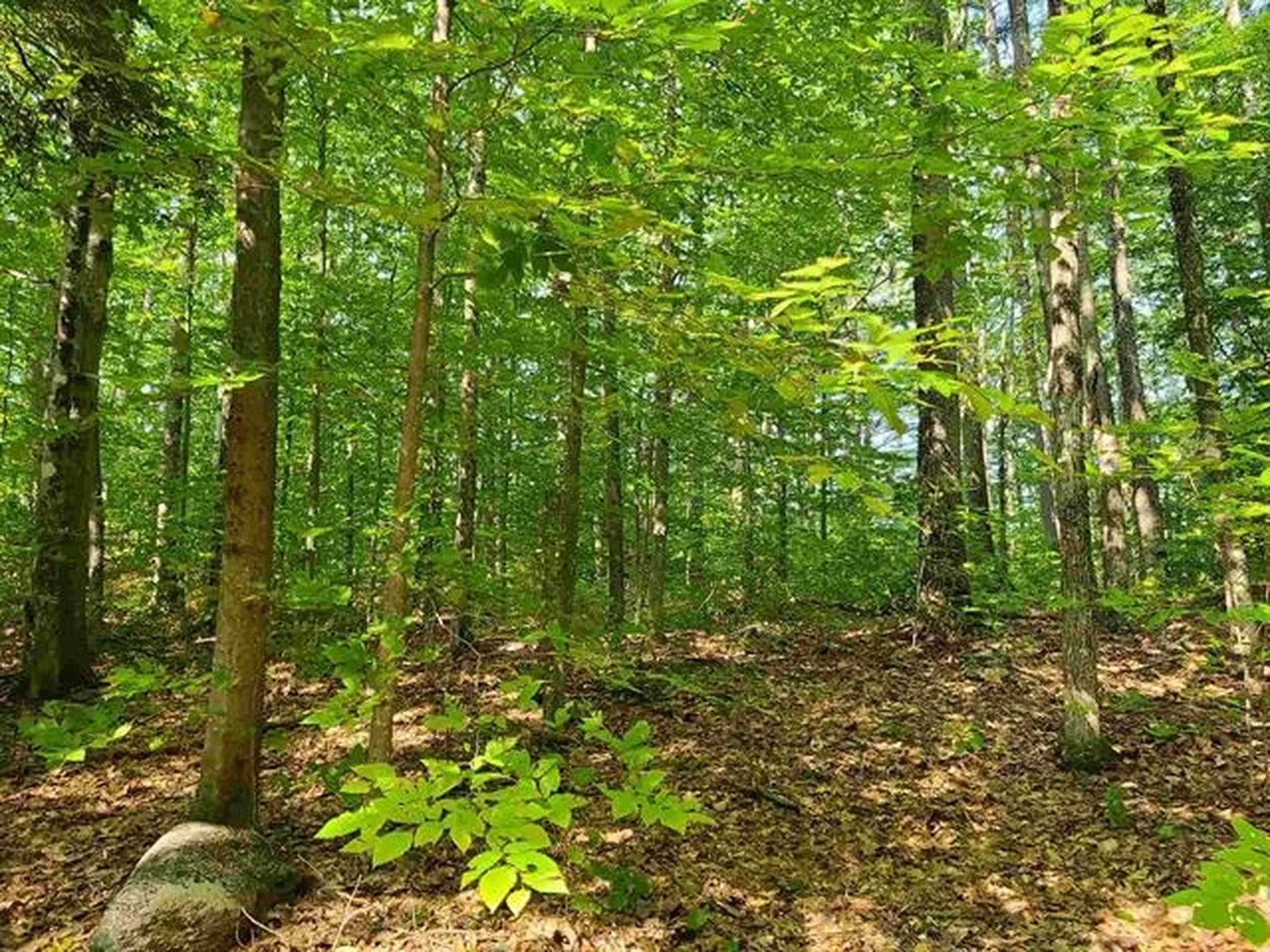 2 Pond Road Moultonborough NH 03254