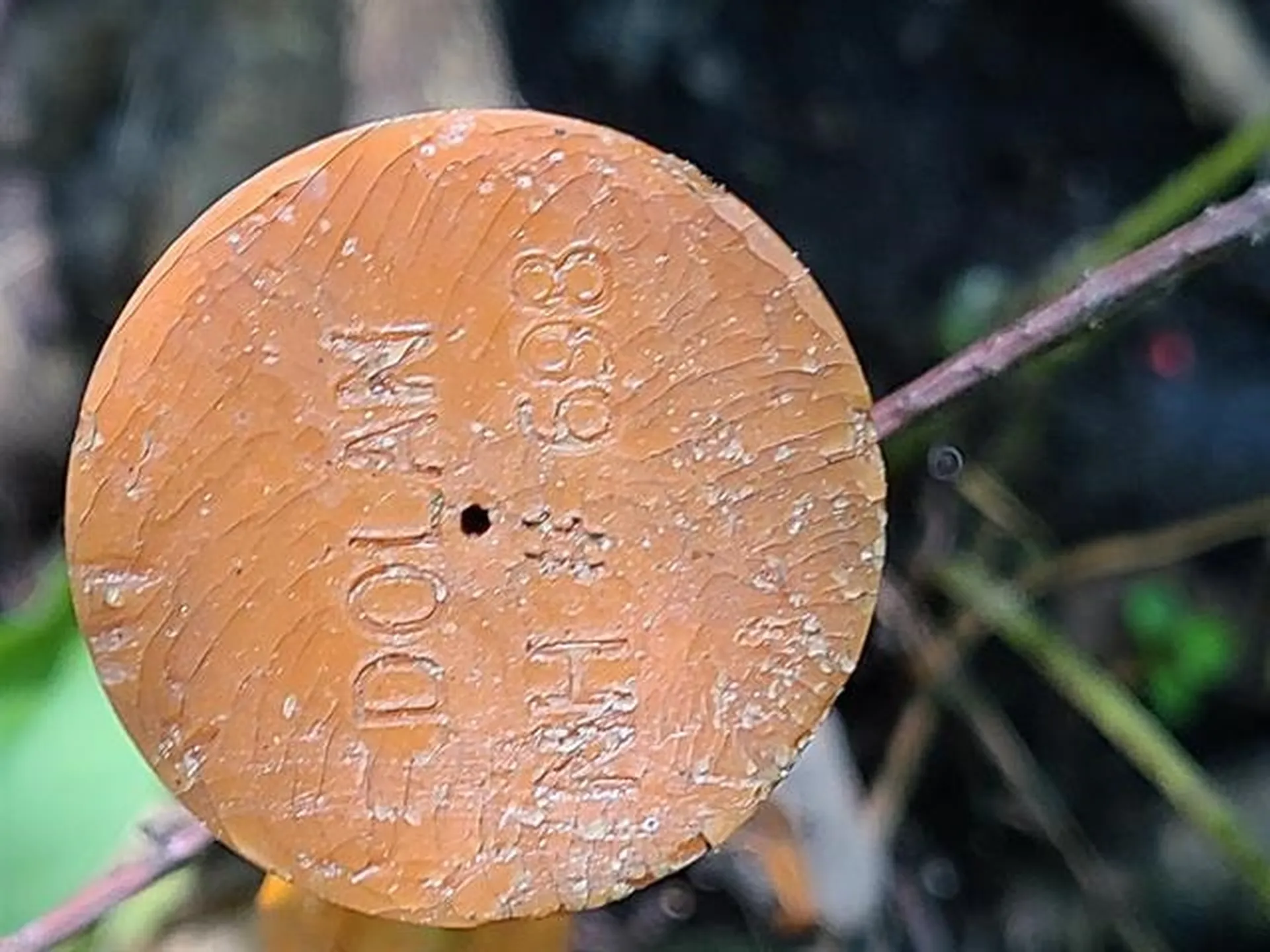 2 Pond Road Moultonborough NH 03254