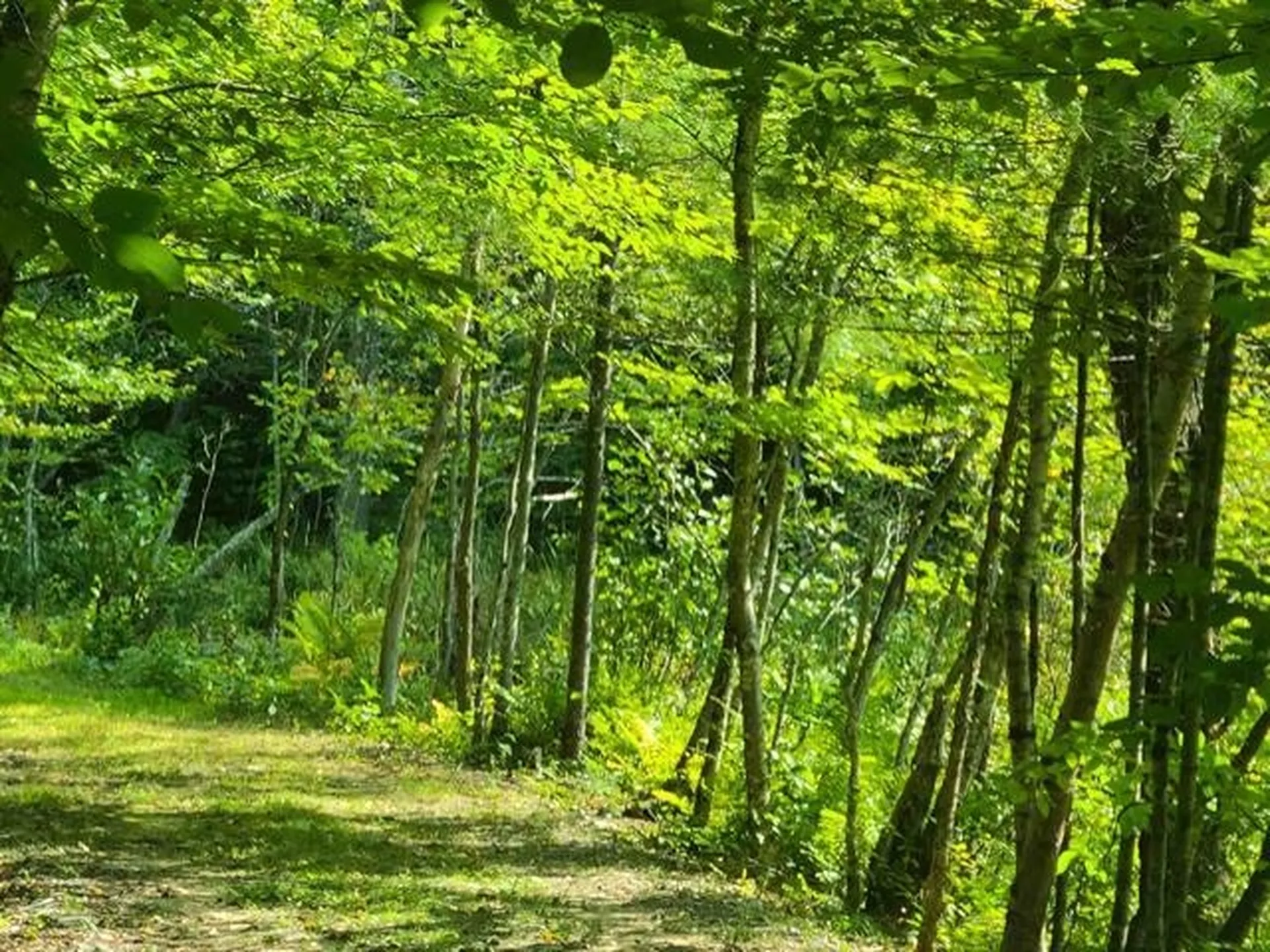 2 Pond Road Moultonborough NH 03254