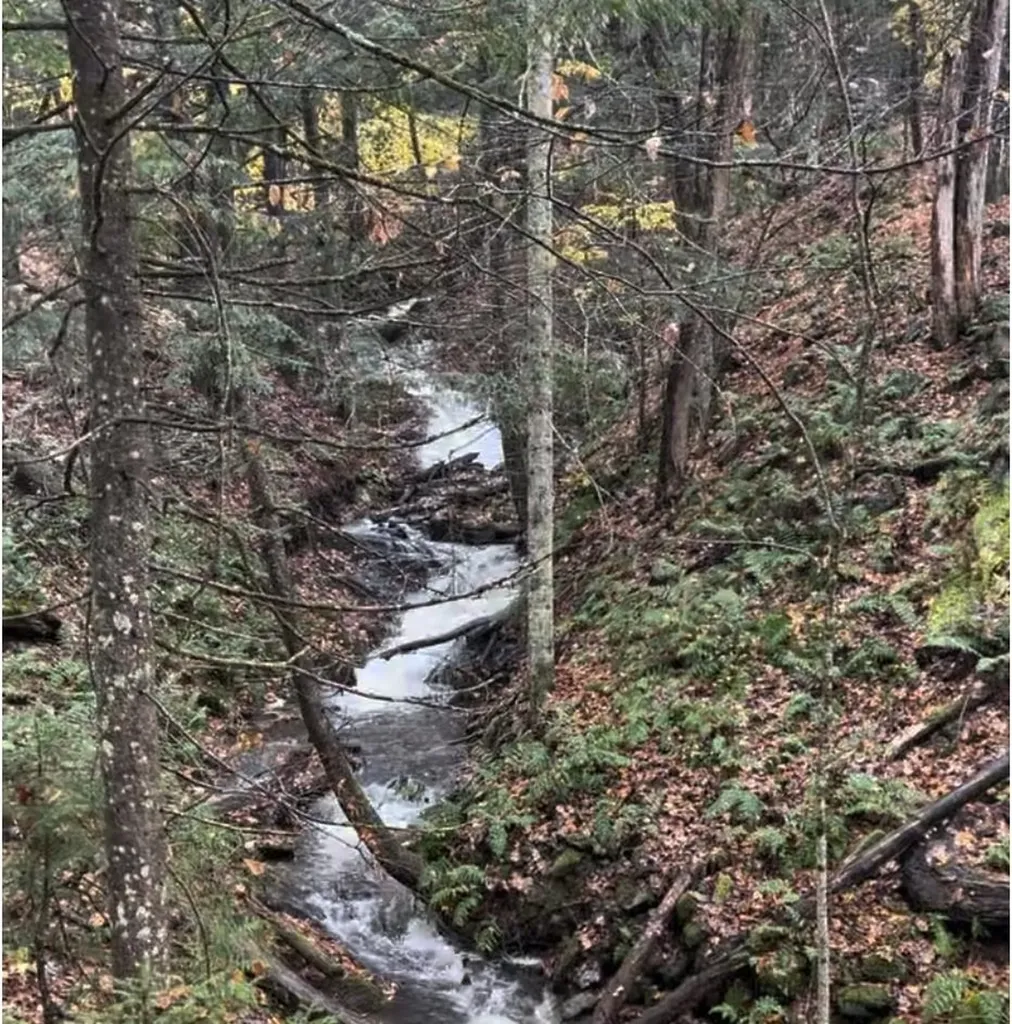 00 Needle Leaf Lane Stowe VT 05672