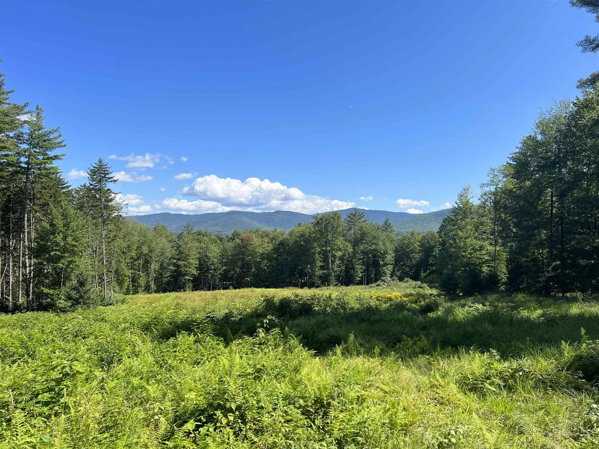 00 Needle Leaf Lane Stowe VT 05672