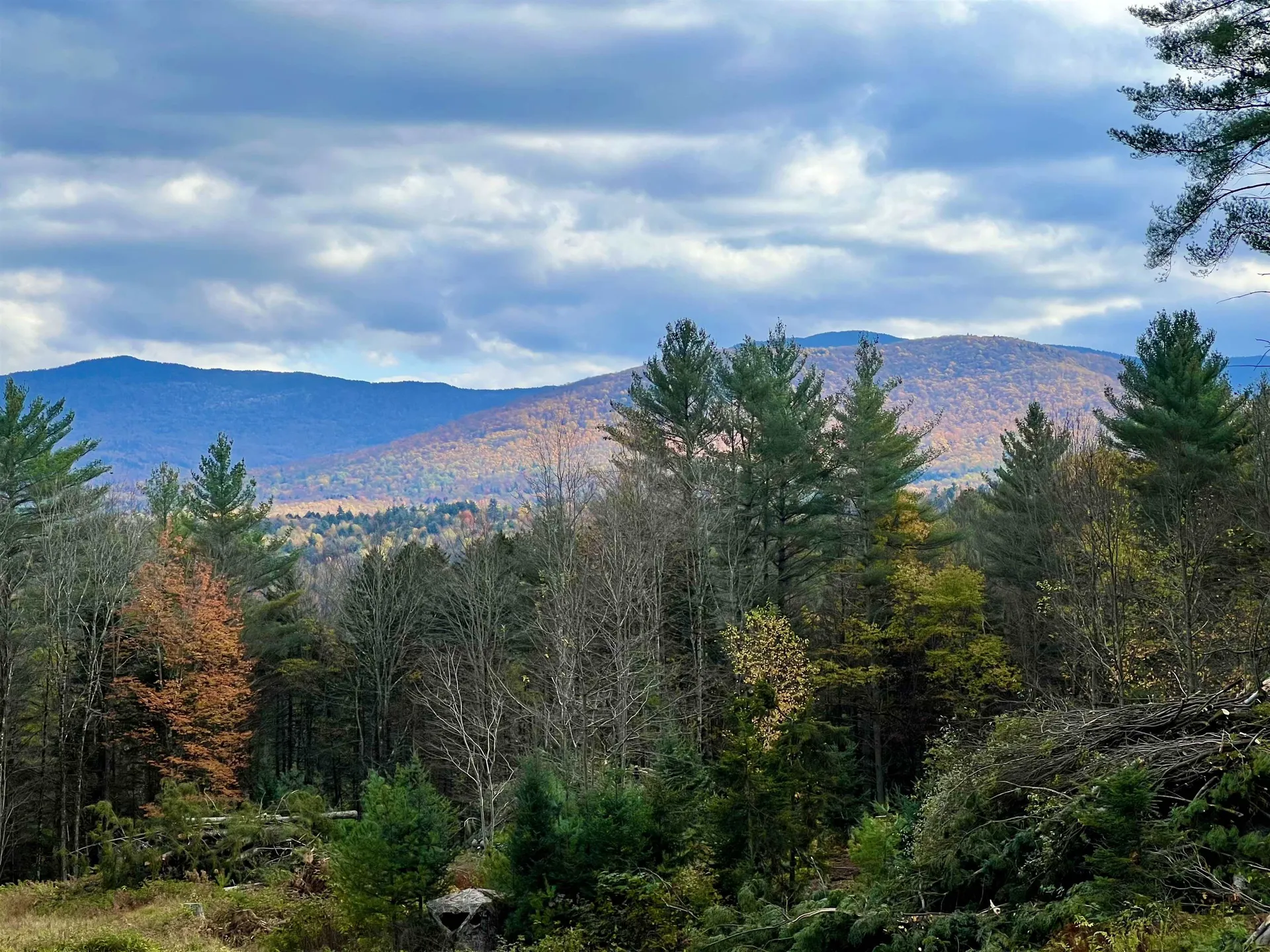 00 Needle Leaf Lane Stowe VT 05672