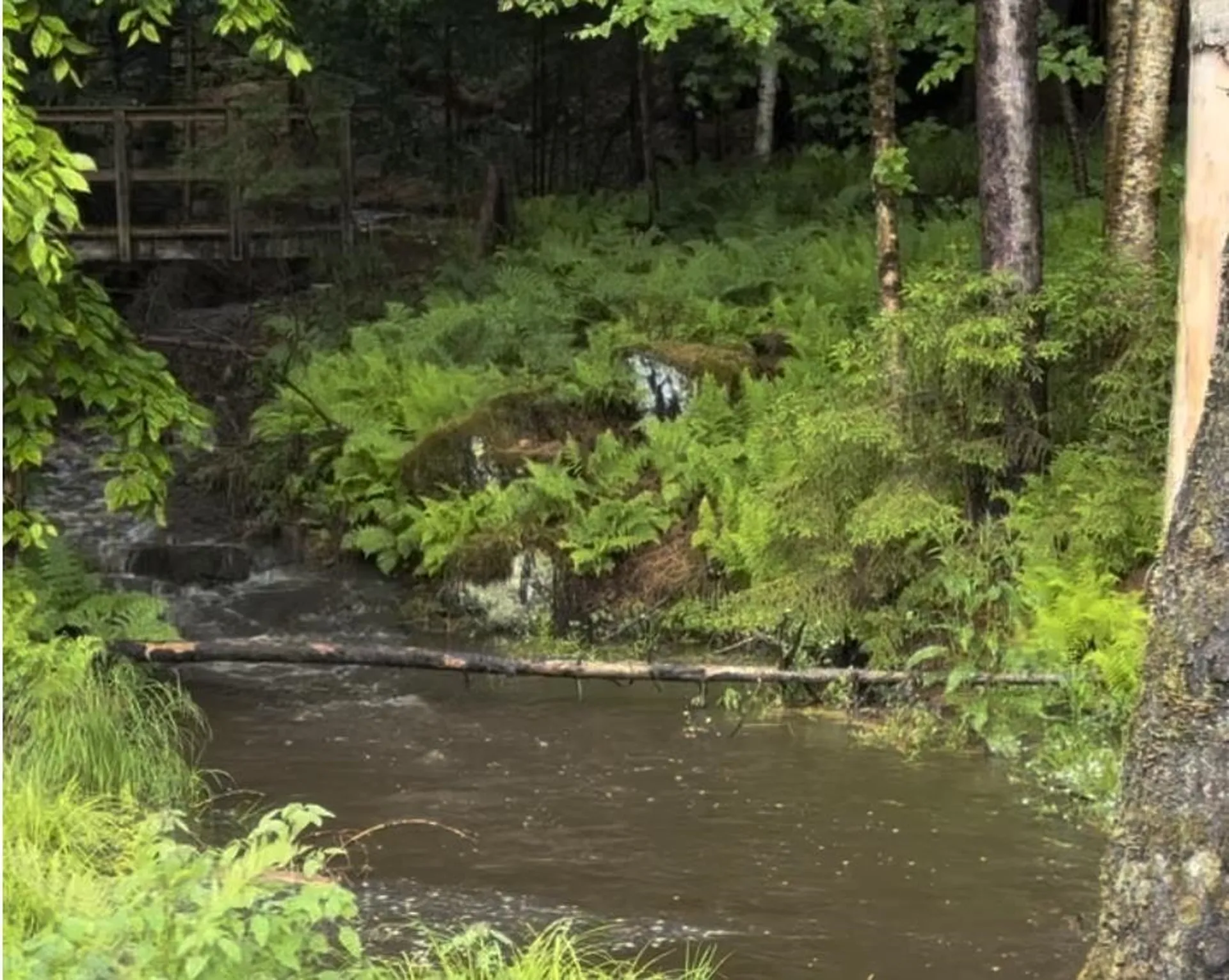 00 Needle Leaf Lane Stowe VT 05672