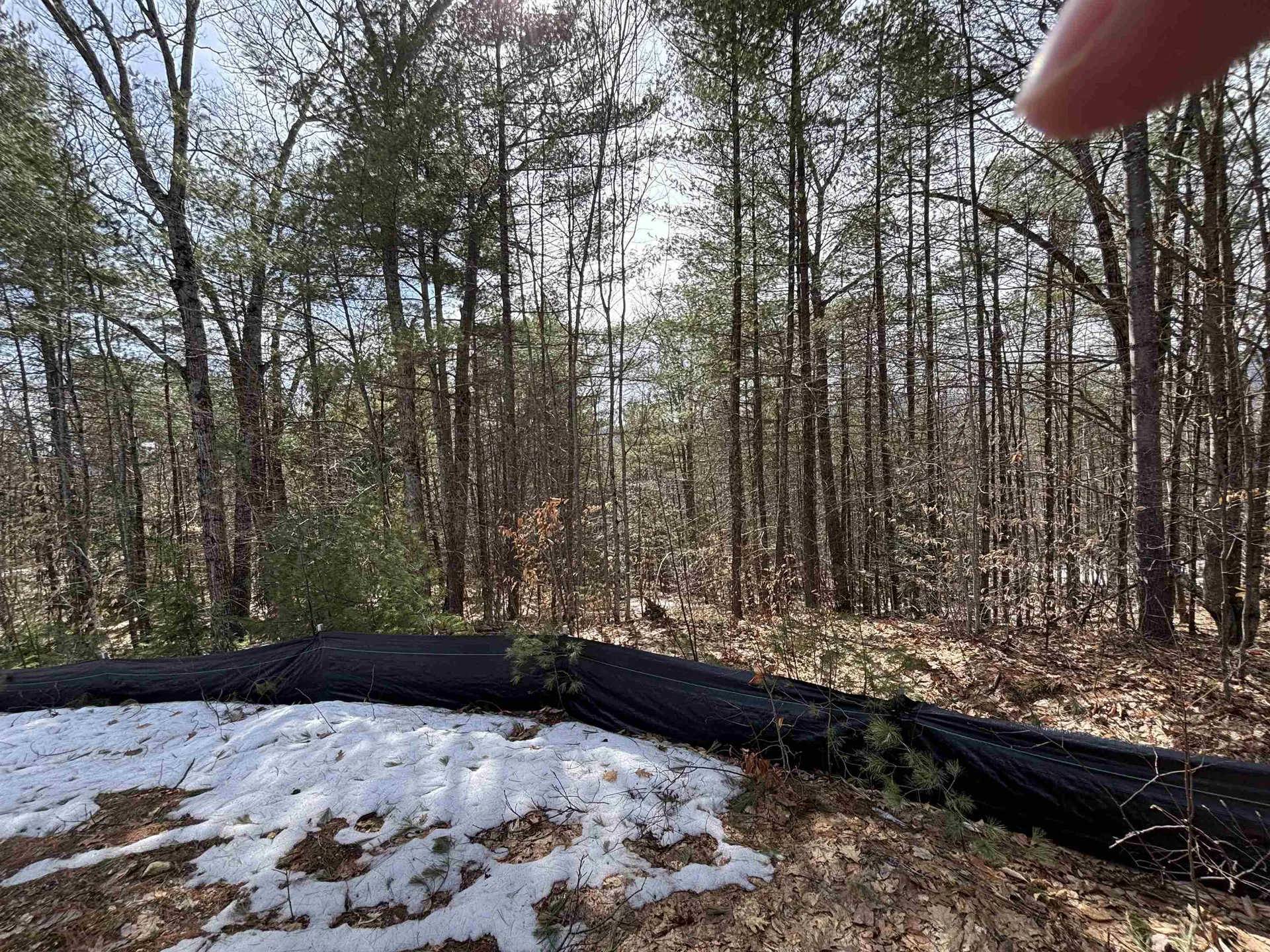 143 Holly Ridge Lane Conway NH 03818