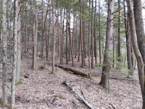 0 Bellows Falls Road Putney VT 05346
