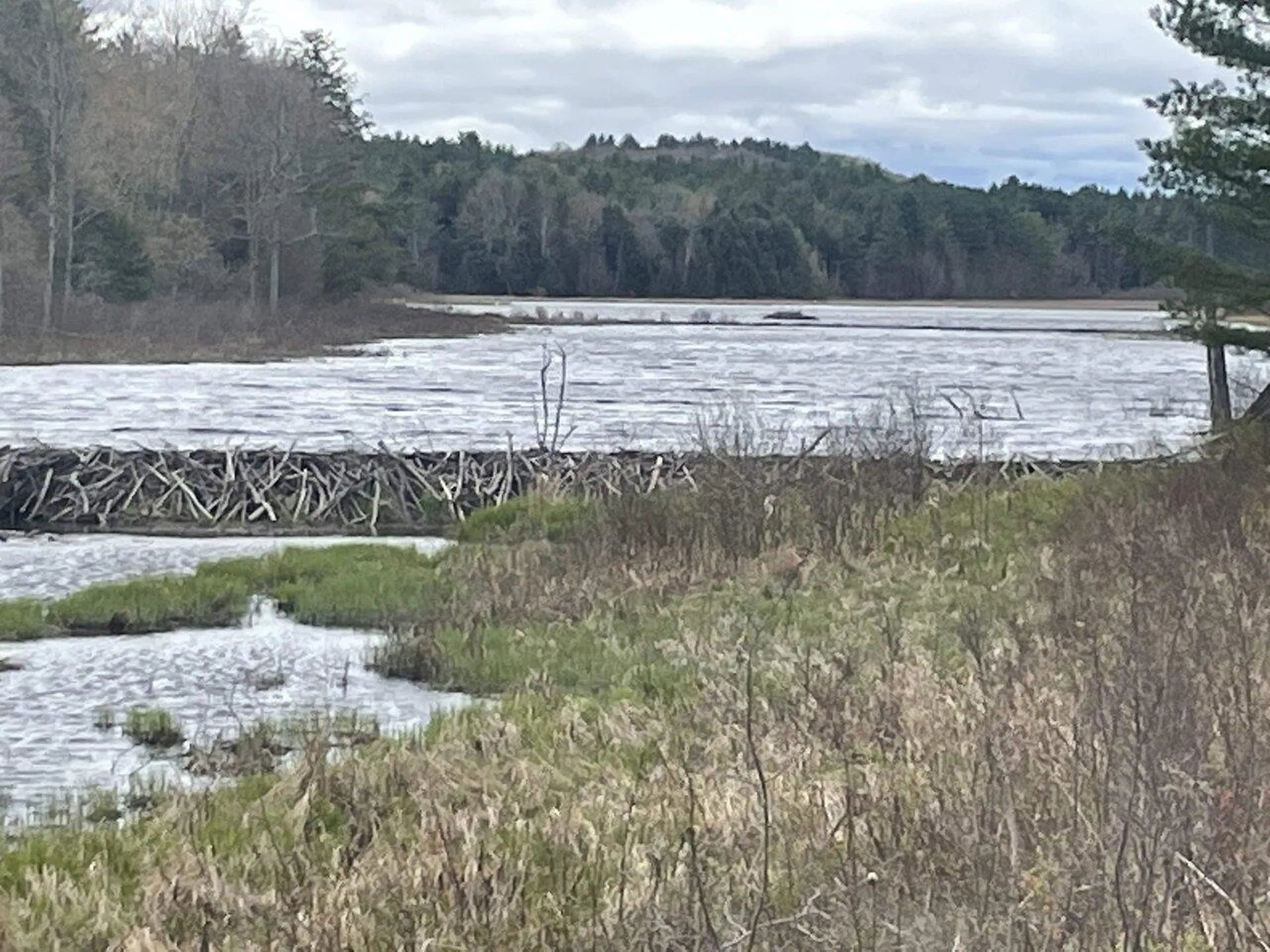 1303 Old Stage Road Westford VT 05494