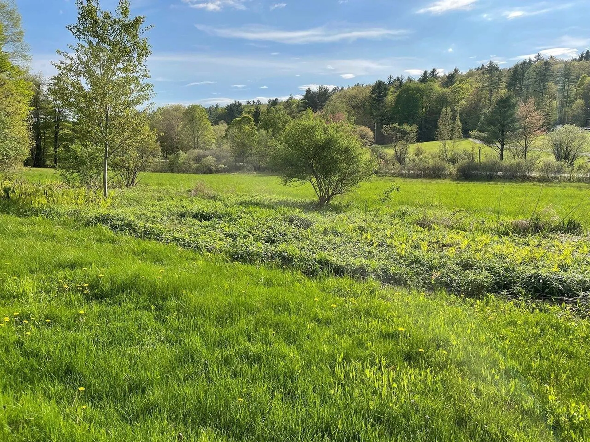 1303 Old Stage Road Westford VT 05494