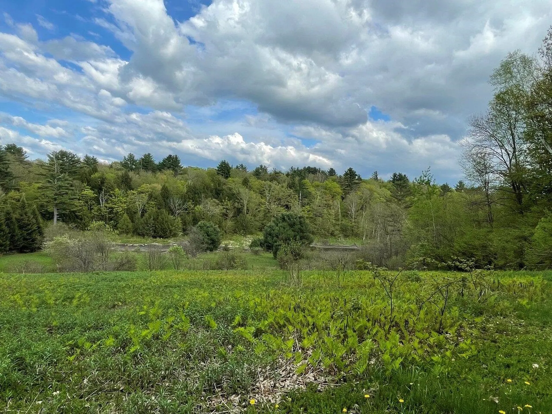 1303 Old Stage Road Westford VT 05494