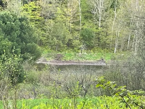 1303 Old Stage Road Westford VT 05494