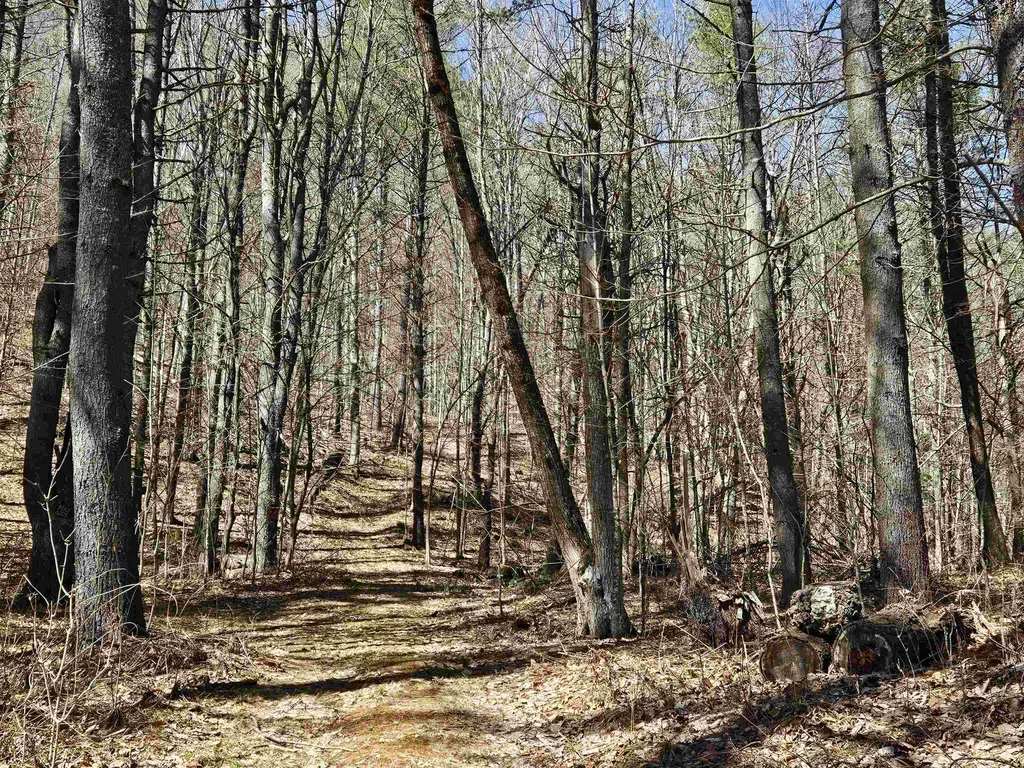 1135 Fay Brook Road Sharon VT 05065