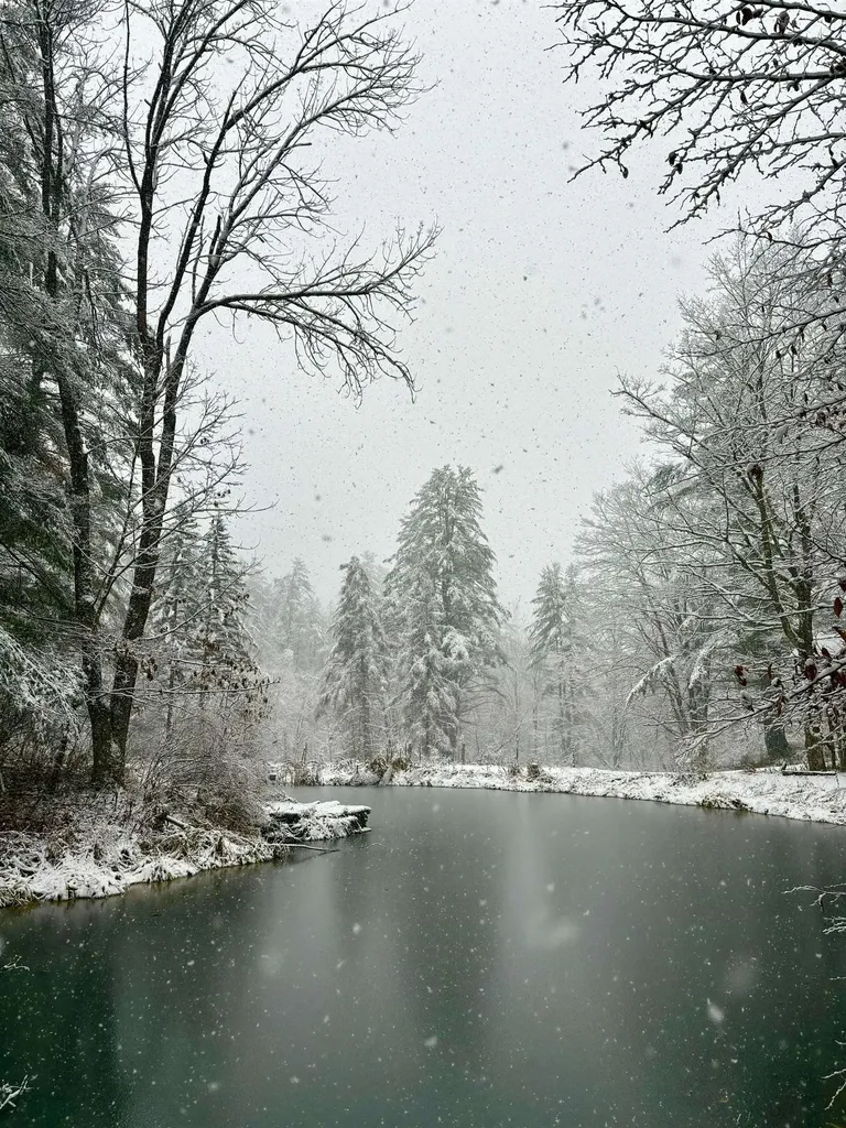 1135 Fay Brook Road Sharon VT 05065