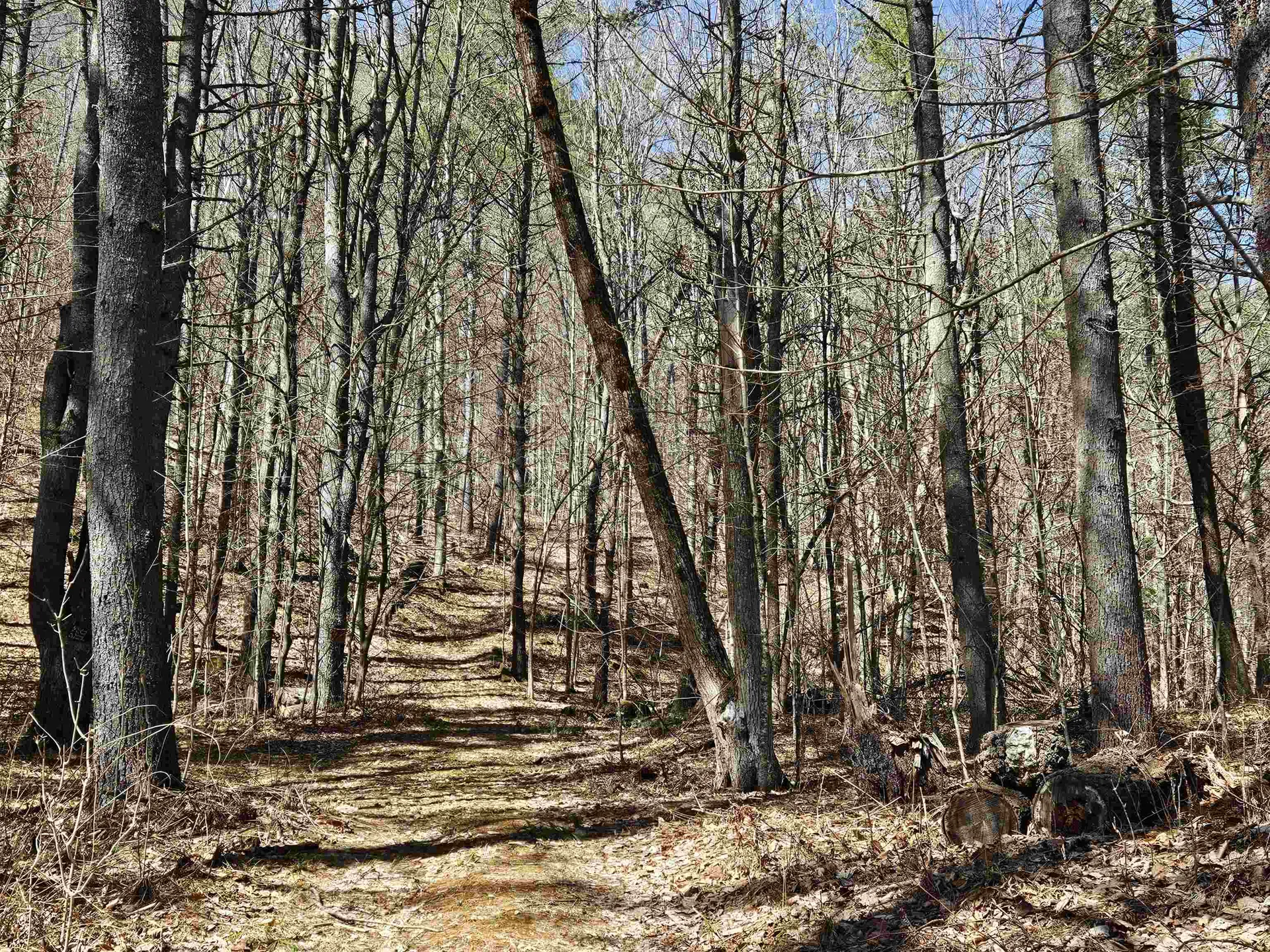 1135 Fay Brook Road Sharon VT 05065