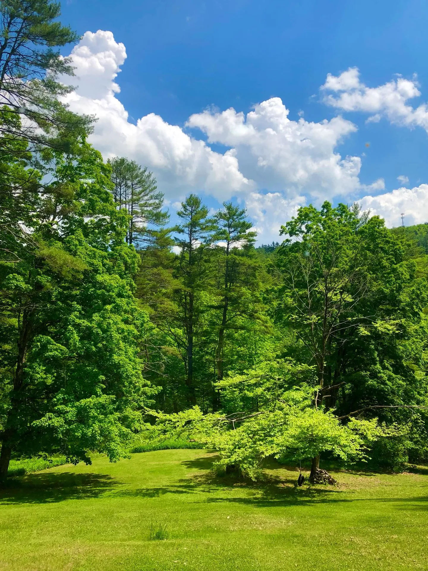 1135 Fay Brook Road Sharon VT 05065