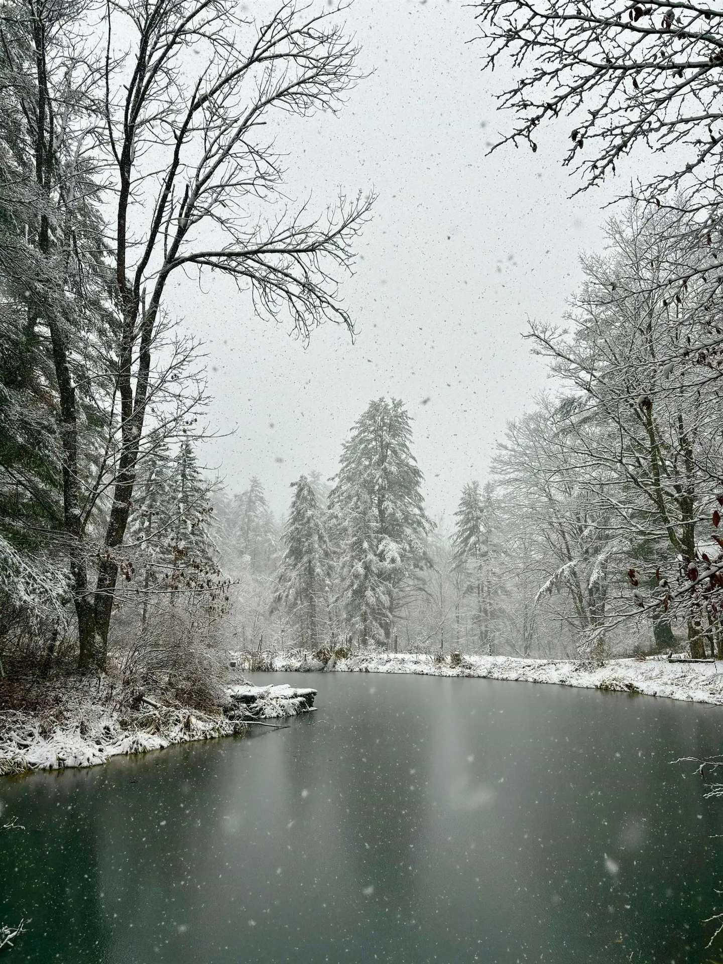 1135 Fay Brook Road Sharon VT 05065