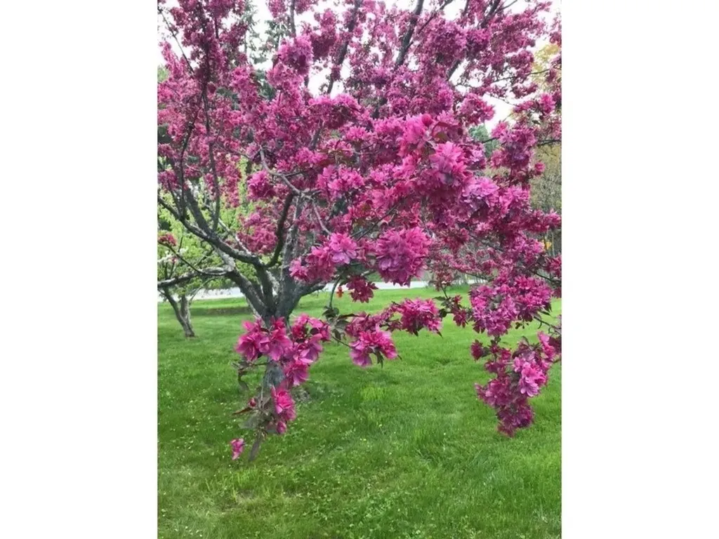 93 Webster Road Shelburne VT 05482