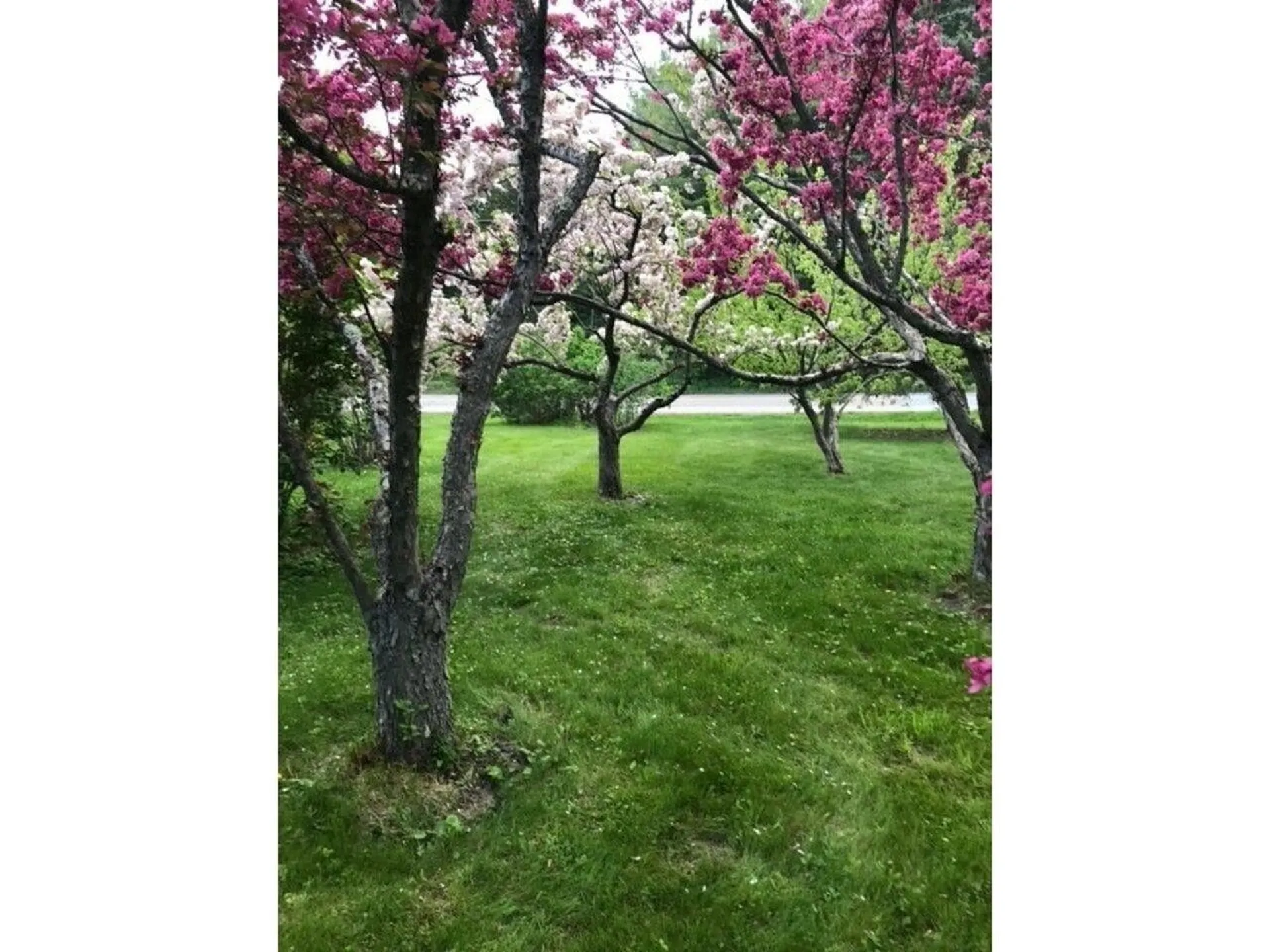 93 Webster Road Shelburne VT 05482