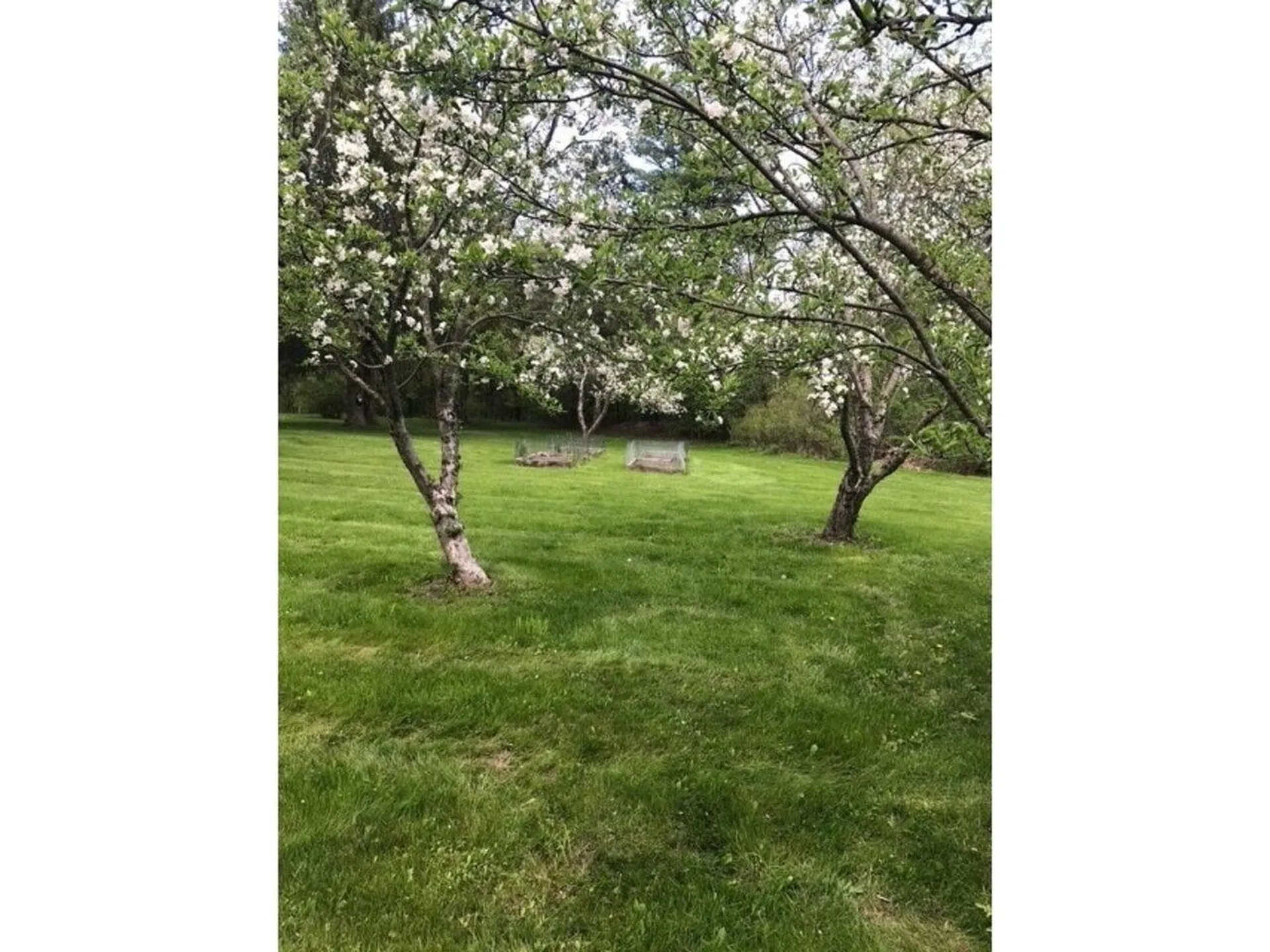 93 Webster Road Shelburne VT 05482