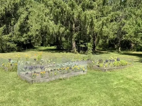 93 Webster Road Shelburne VT 05482
