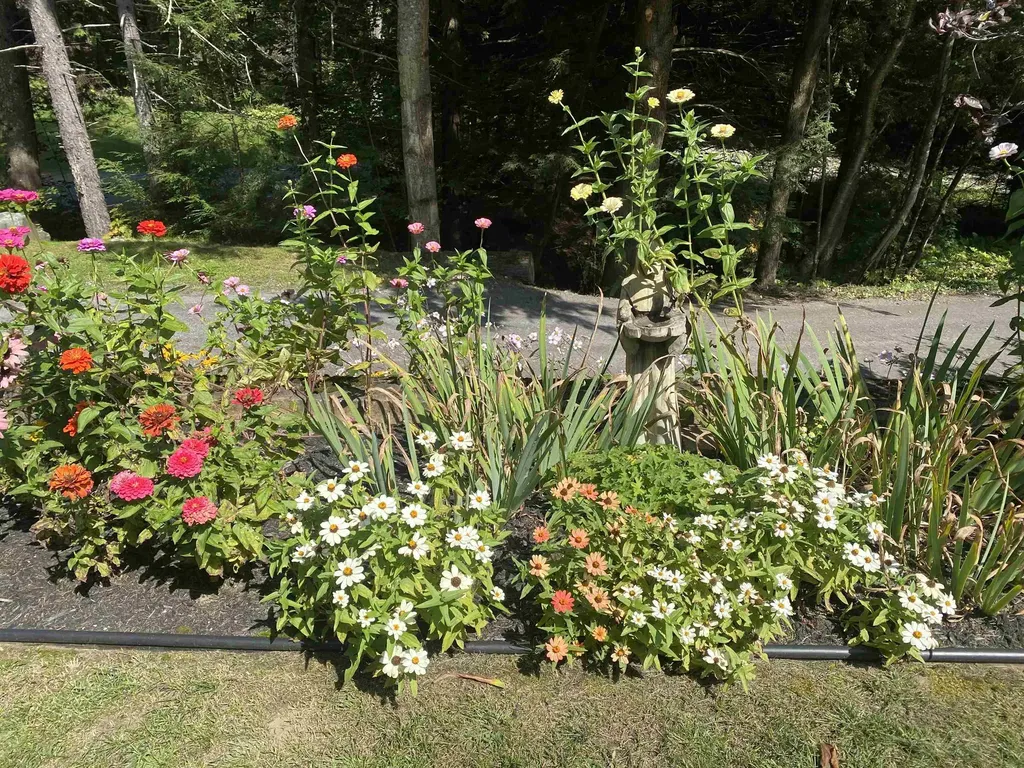 482 Long Branch Circle Morristown VT 05661