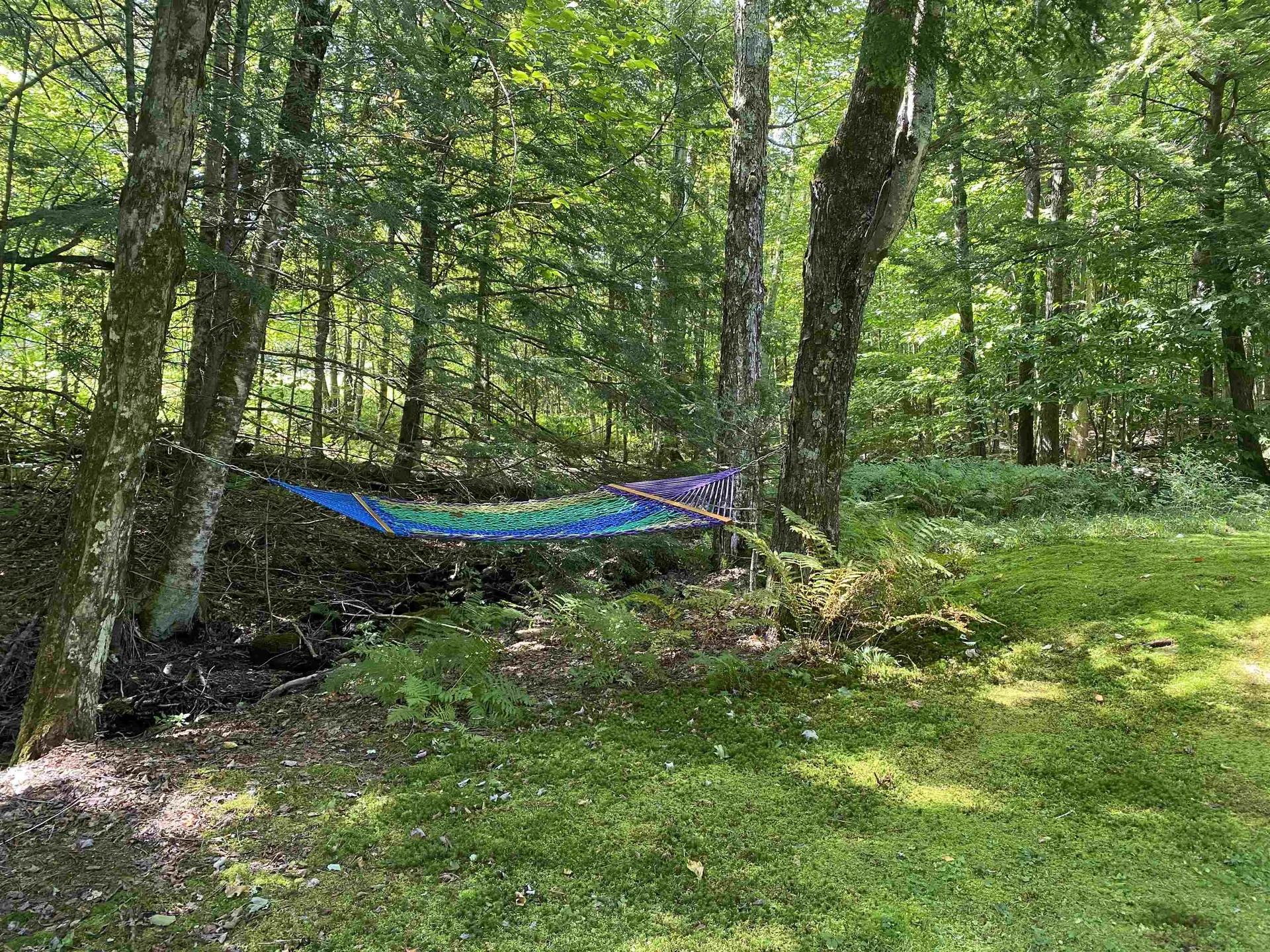 482 Long Branch Circle Morristown VT 05661