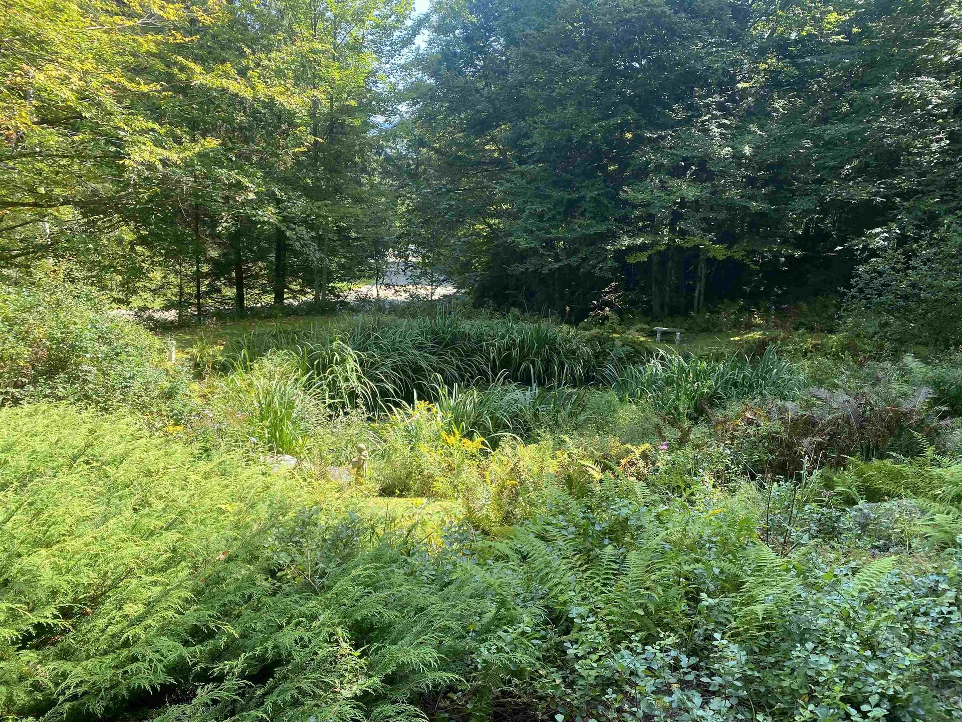 482 Long Branch Circle Morristown VT 05661