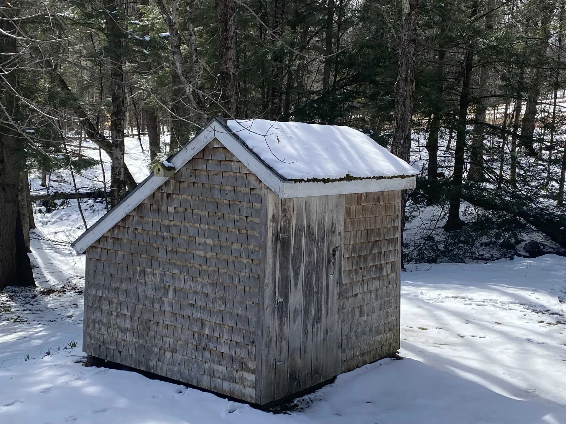 482 Long Branch Circle Morristown VT 05661