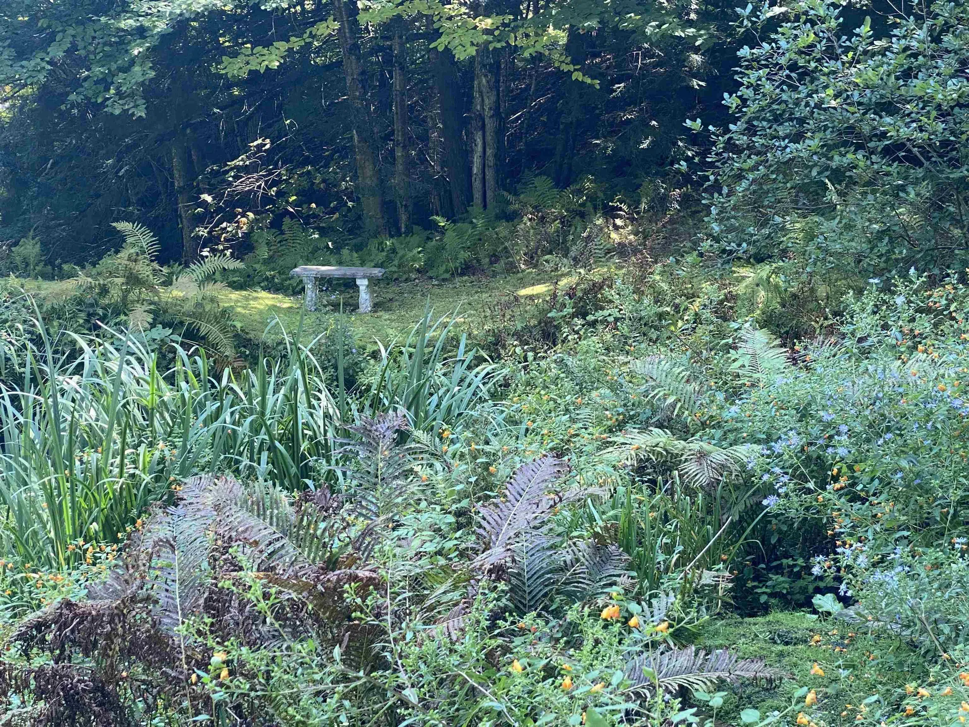 482 Long Branch Circle Morristown VT 05661