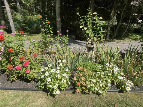 482 Long Branch Circle Morristown VT 05661