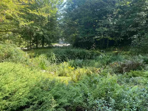 482 Long Branch Circle Morristown VT 05661