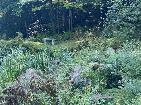 482 Long Branch Circle Morristown VT 05661