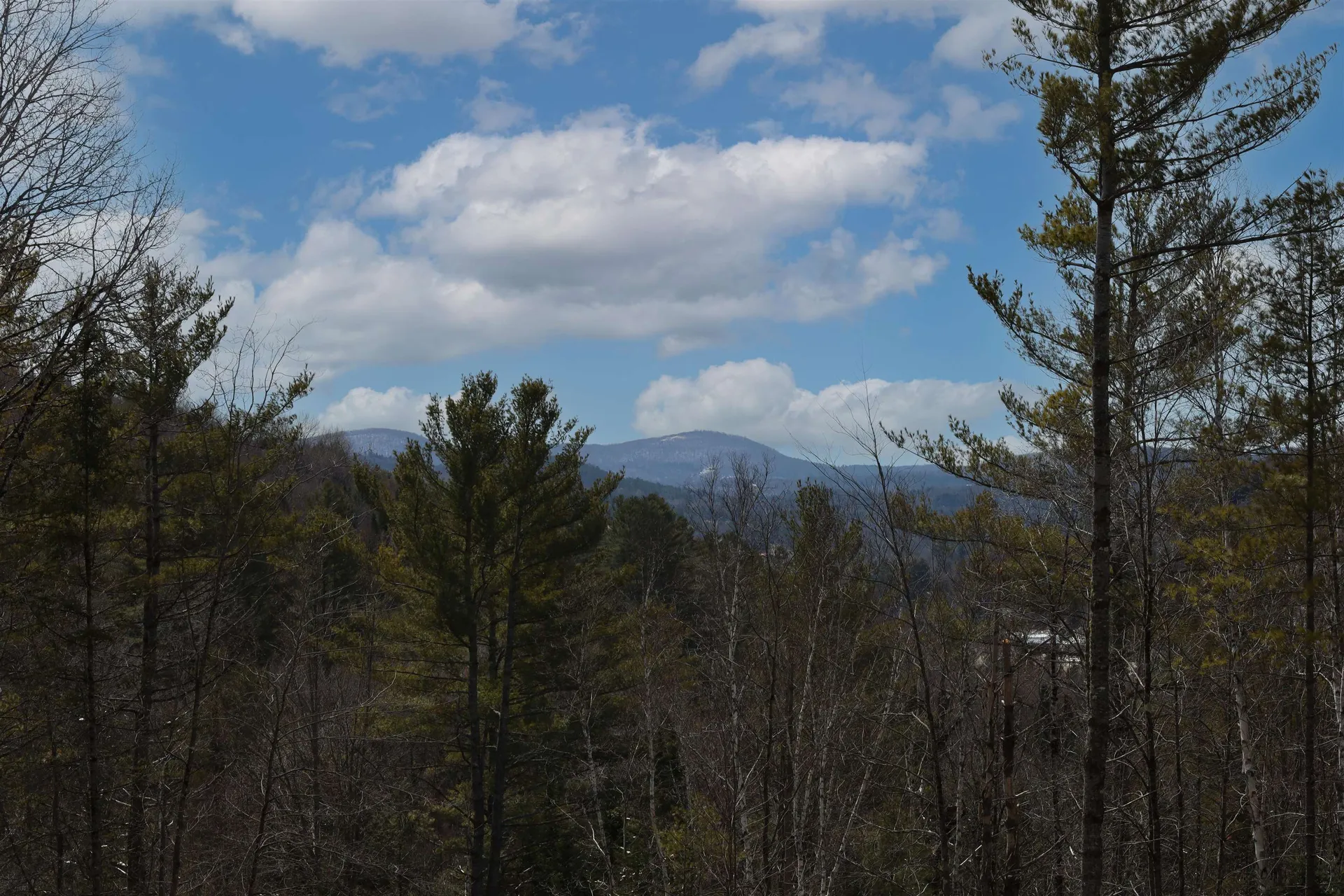 281 Rogan's Way Kirby VT 05824